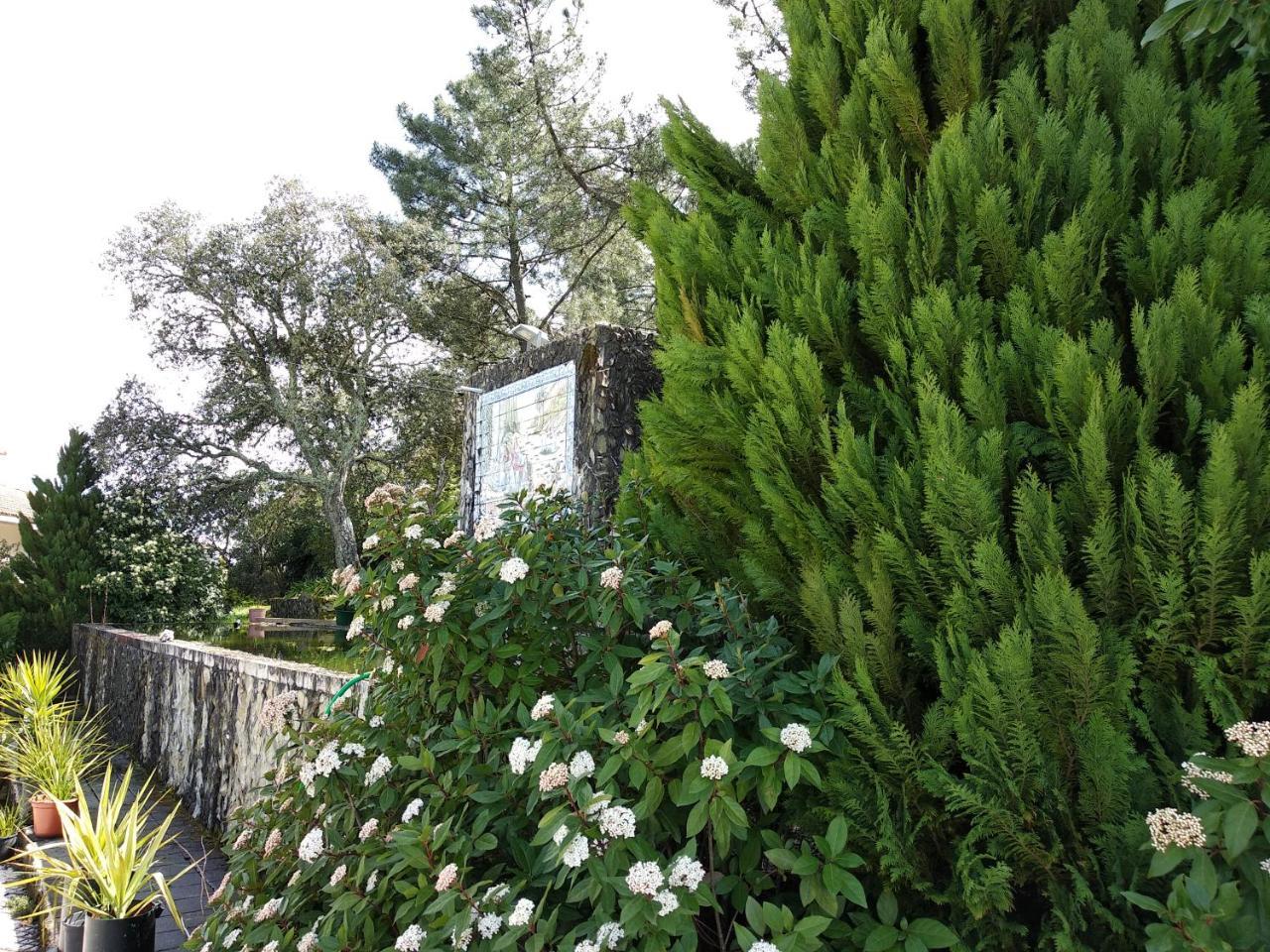 فندق Quinta Da Telheira فيلا ريال المظهر الخارجي الصورة