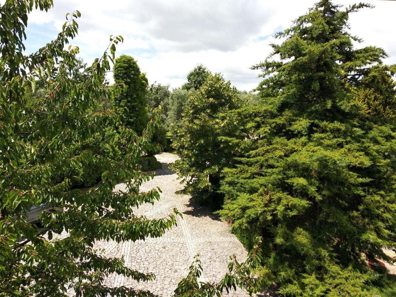 فندق Quinta Da Telheira فيلا ريال المظهر الخارجي الصورة