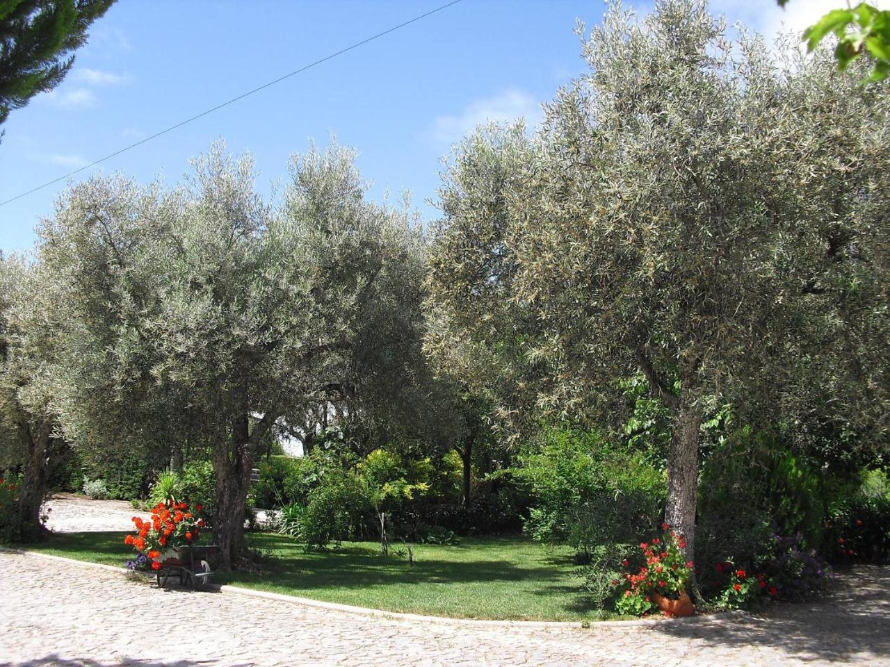 فندق Quinta Da Telheira فيلا ريال المظهر الخارجي الصورة